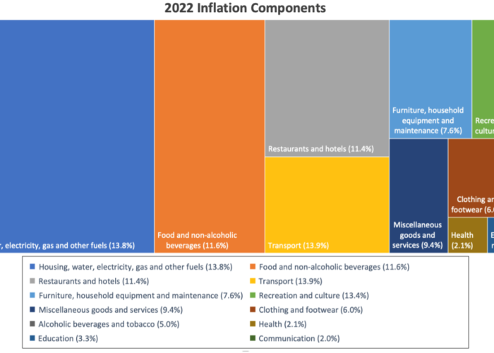 An illustration that shows percentages of inflation components in 2022.