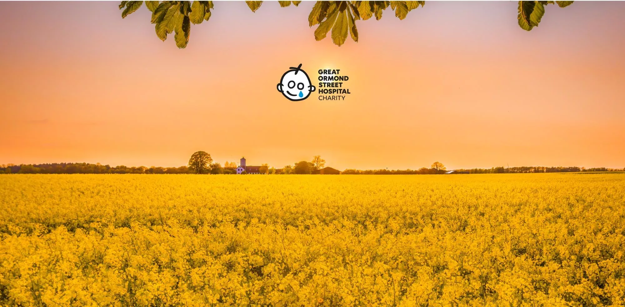 Charities - The Great Ormond Street Hospital (GOSH) Logo Displayed Over An Image Of A Field Of Yellow Flowers At Sunset