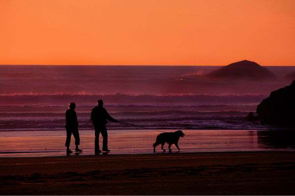 Retirement living standards - couple walking their dog on the beach at sunset