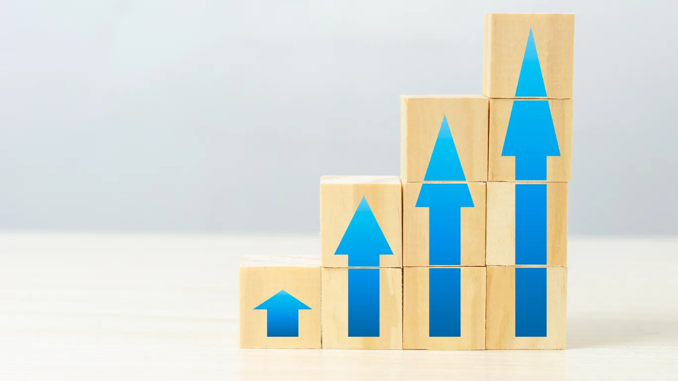 Investment risk and reward
