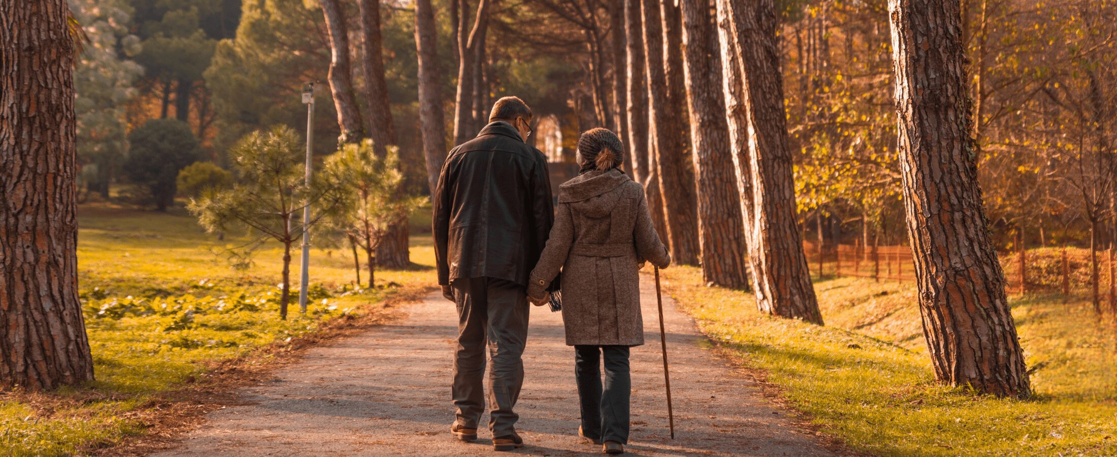 state pension age 67 - older couple walking in a park