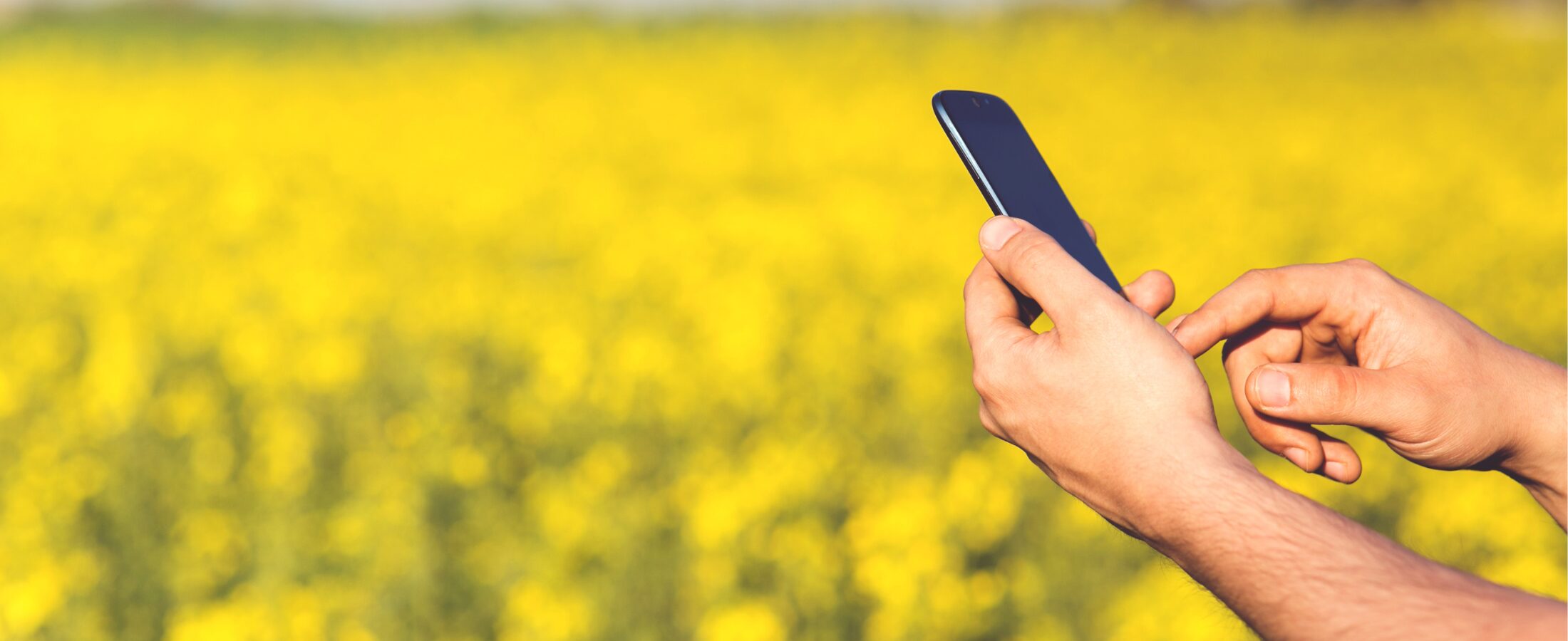 contact us to discuss your financial advice needs