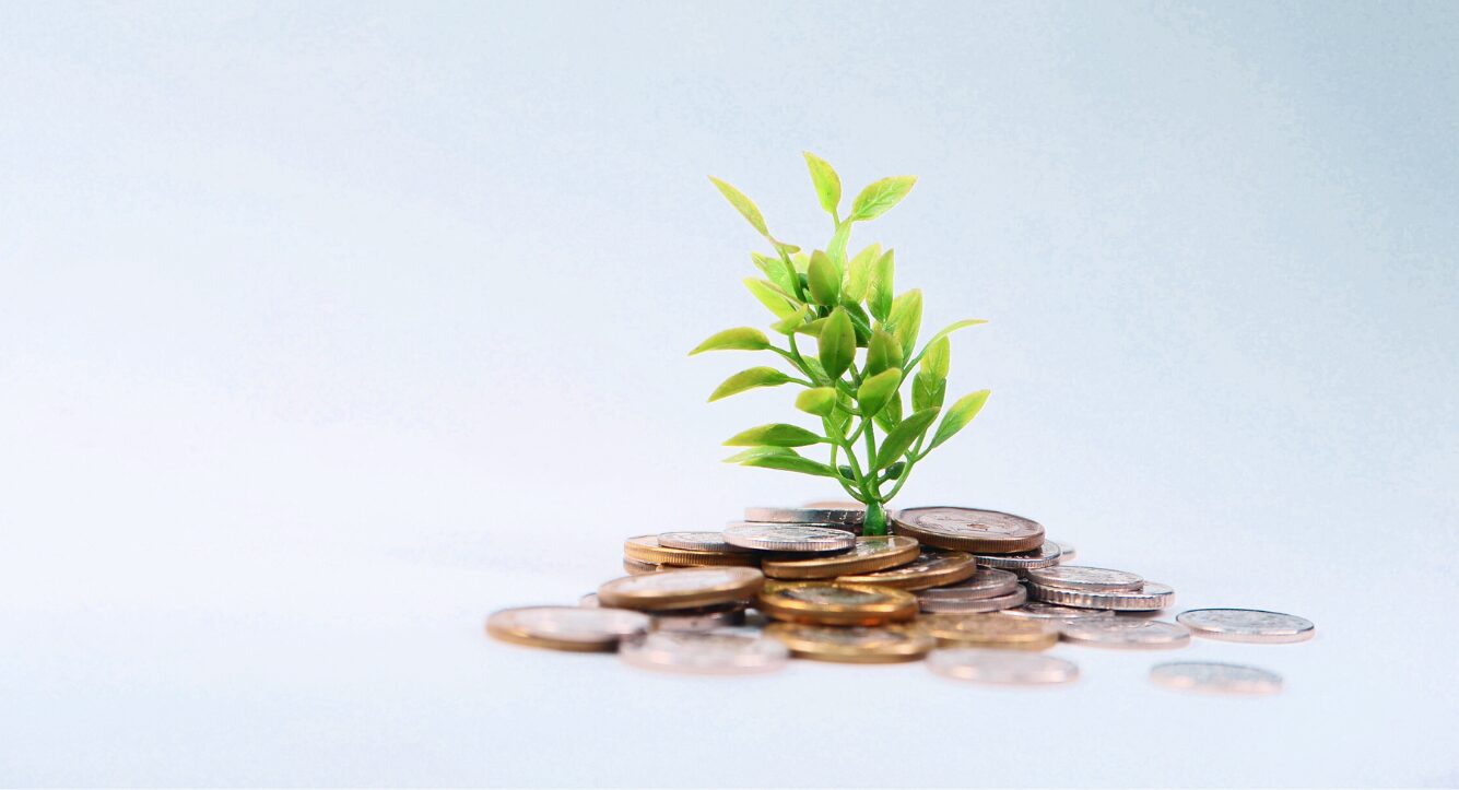 Cash interest charge - a tree growing on top of coins